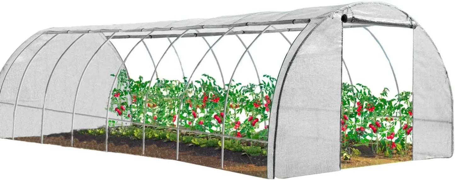 Serre de Jardin Professionnelle 24m², 4 Saisons, Blanche, 8x3m
